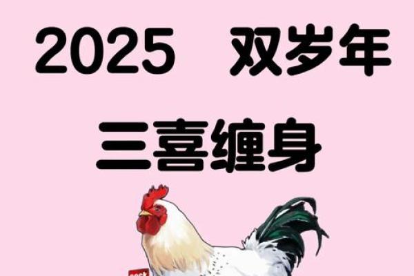 属鸡2025年吉利颜色_2025年属鸡幸运色指南吉利颜色助你运势提升