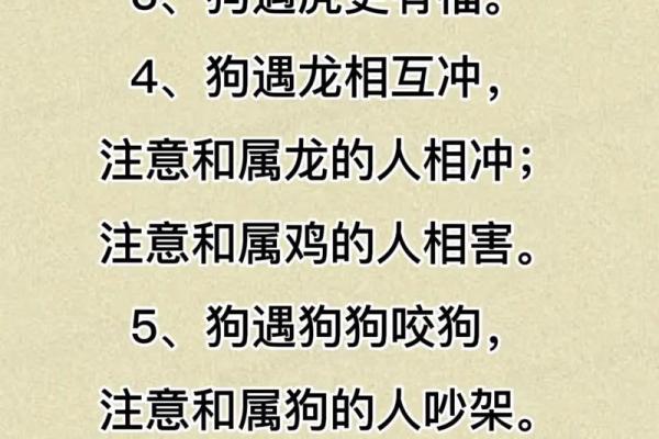 生肖属狗2025年的运势如何_2025年属狗的好不好
