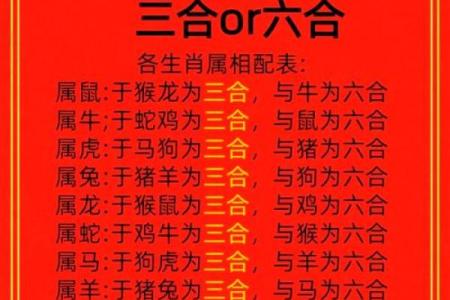 三心二意美男子是什么生肖(三心二意形容什么生肖)