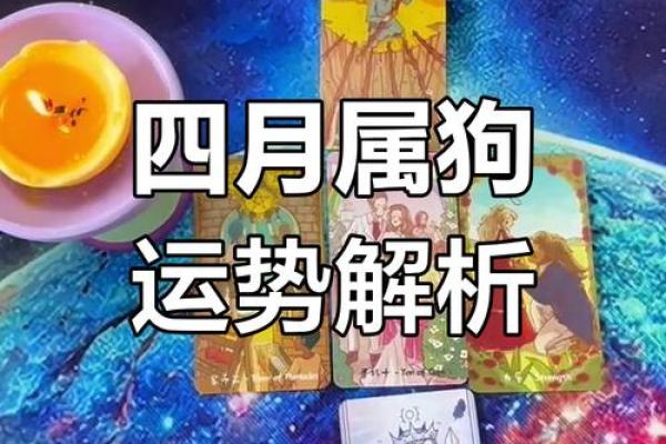 2024年狗的运势如何_2024年狗年运势详解财运事业爱情全解析