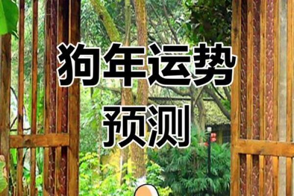 2025年属狗年龄_2025年属狗人年龄详解运势与注意事项