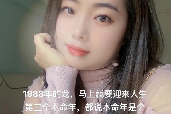 1988年2月15日属龙还是属兔_1988年二月十五出生的人
