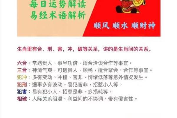 属狗和属龙相配吗_属马的和属鼠的合吗