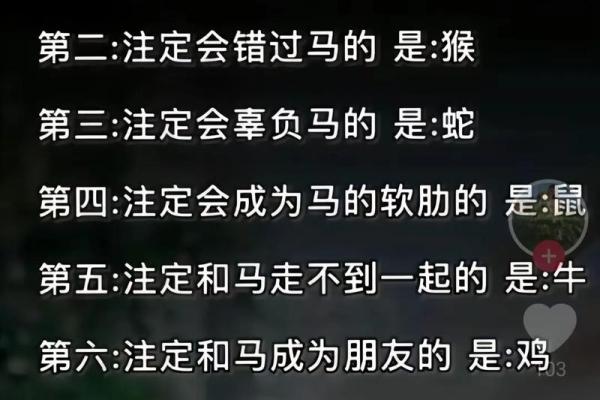 属马女和属猪男的婚姻怎么样_男猪女马为啥不能结婚