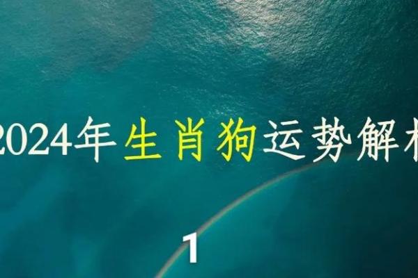 2025年82年属狗人运势详解运程预测与吉凶分析