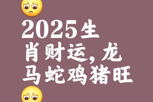 2025属龙的运势怎么样_2025年属龙运势详解