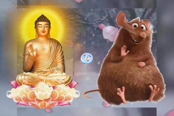 鼠2022年结婚