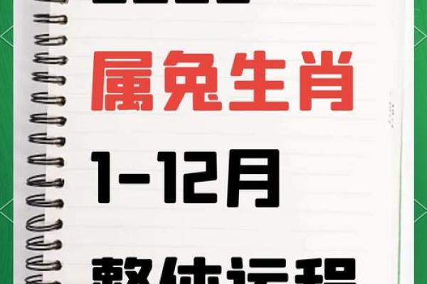 1963年属兔的今年多大_1963年属兔多大年龄了