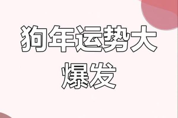 2025年属狗天降大喜 2025年属狗天降大喜运势大爆发好运连连