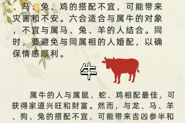 属狗和属牛合作财运如何_属狗与属牛合作财运解析最佳搭档还是财运相克
