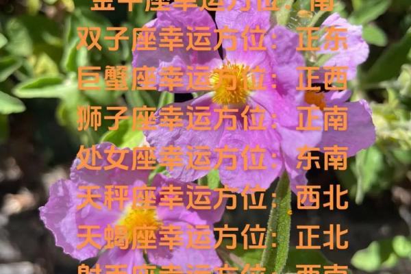 白羊座2025年1月9日运势(白羊座运势2021年1月运势详解)