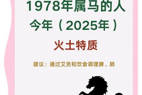 1978年属马人2025年运势详解吉凶预测与运程指南