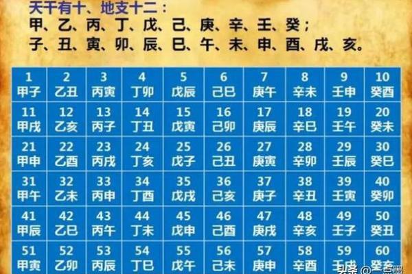十年寒窗是指什么生肖
