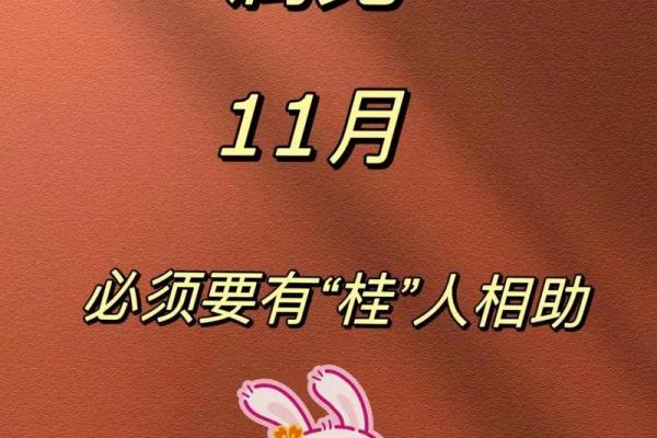 属兔的2025年每月运势_2025年属兔1987人的全年运势