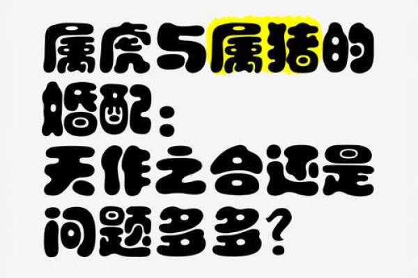 属猪和属虎的姻缘解析配对指数与婚姻运势