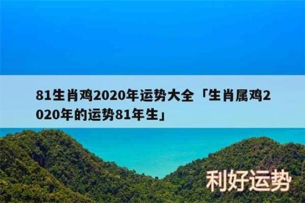 1981年鸡女哪年财运好 1981年鸡女财运最佳年份解析