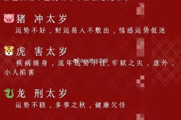 胆大包天是什么生肖(胆大包天是什么生肖百度)