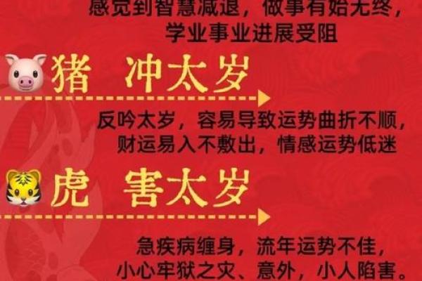 “临渊结网”打一最佳准确生肖，临渊结网是什么生肖答案解释释义落实