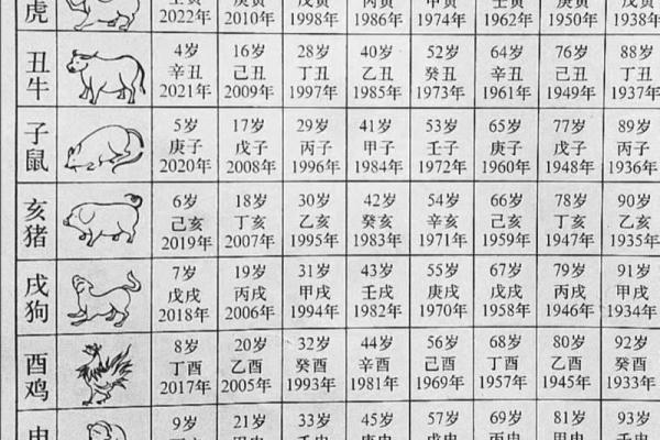 属兔开张吉日查询2021年2月