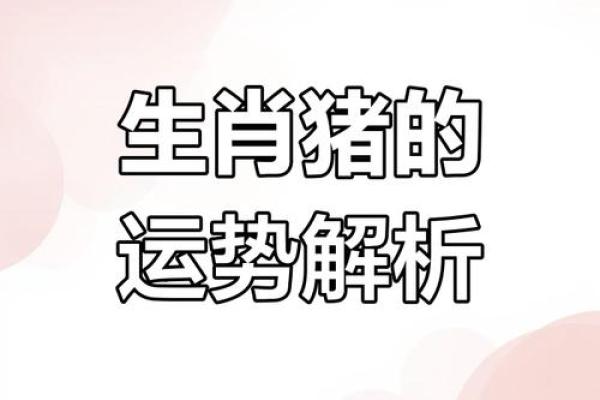 71年属猪2025年运势及年龄解析54岁如何转运