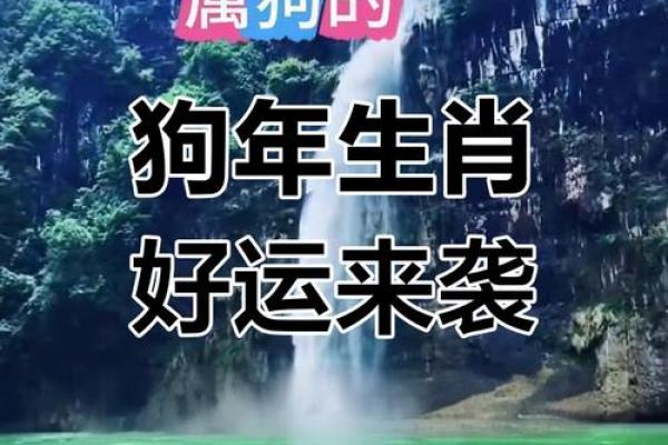 属狗2025年财运 70年属狗2025年财运