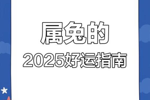 2025年属兔的多大 2025年属兔人年龄解析你今年多大