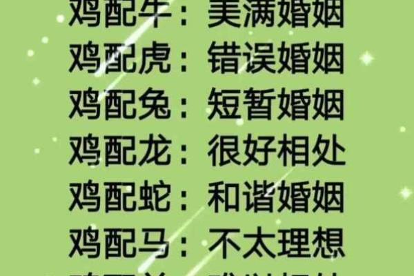 十二生肖姻缘配对 十二生肖姻缘配对大全