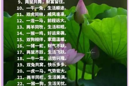 丰衣足食是什么生肖