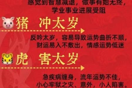 心照不宣是什么生肖