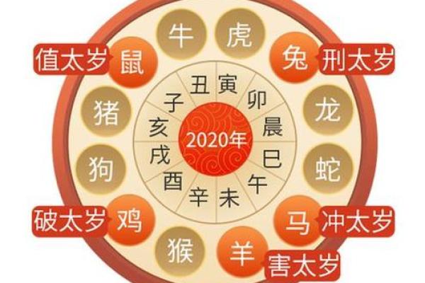 人五人六是什么生肖