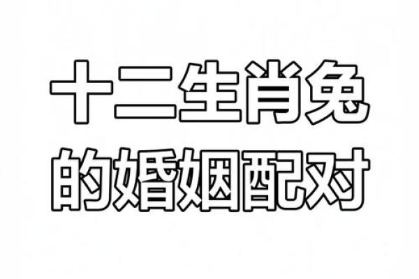 99年属兔男最佳婚配_99年属兔男最佳婚配表