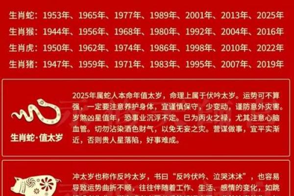 2025年属猪孽缘是谁_2025蛇年属猪披麻戴孝