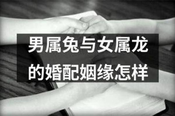 属兔的最佳婚配对象及生肖配对指南