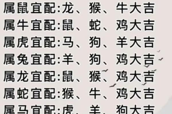 属兔跟属龙的姻缘怎么样 属兔与属龙姻缘解析生肖配对是否幸福美满