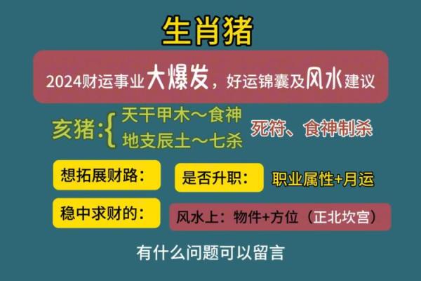 属猪的男人2025年运势_属猪男2023年运势及运程每月运程