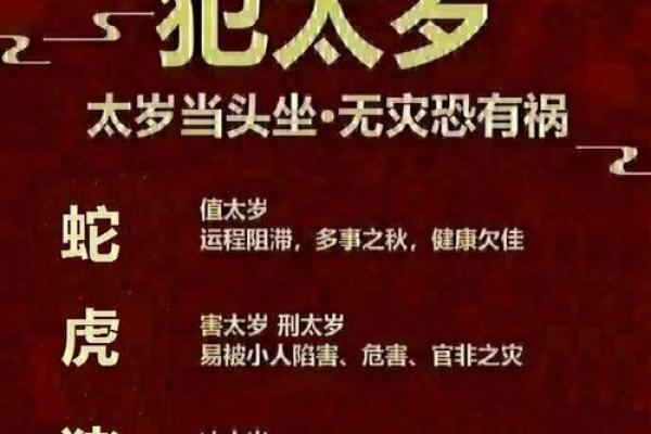 寸草春晖是什么生肖(寸草春晖的生肖是什么)