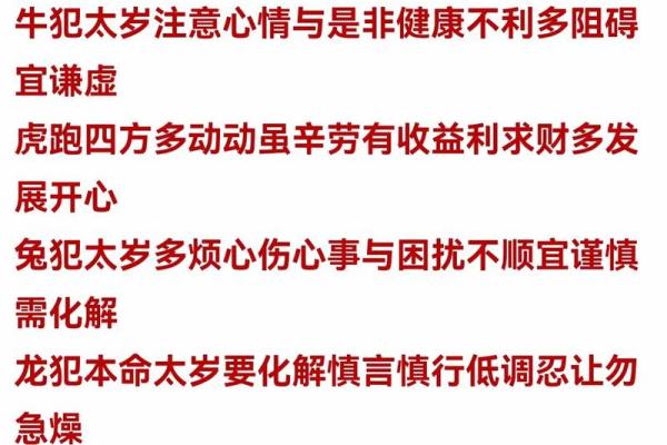 79年属羊2023年每月运势详解财运事业感情全解析