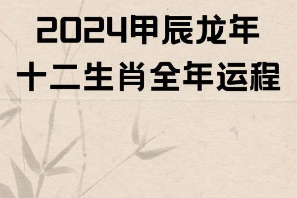 1976年属龙人2024年运势详解全年每月运程指南