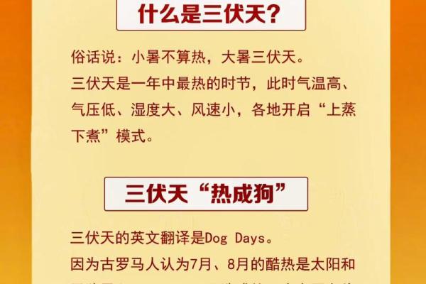 2021年几点入伏