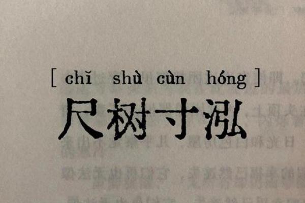 “尺树寸泓”打一生肖是什么，尺树寸泓是什么生肖答案解释释义落实