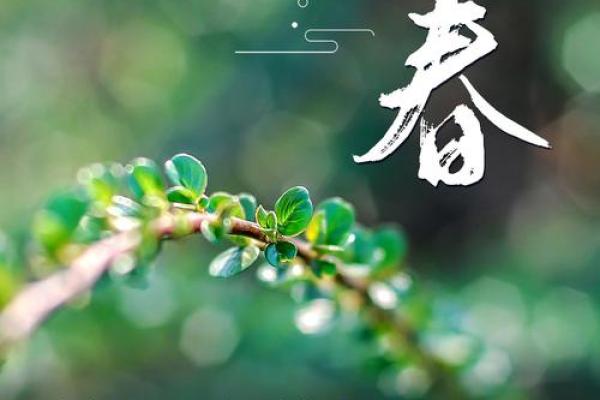 2023年立春时间几点几分几秒钟