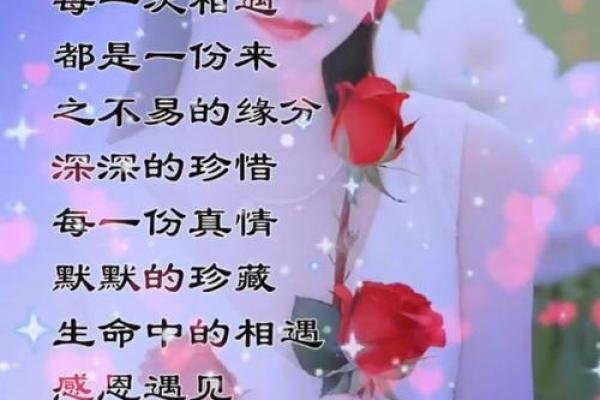 缘分的真正含义_缘分的最好解释