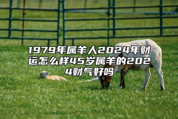 2026属羊人的全年运势_2026属羊人全年运势详解财运事业爱情全面解析