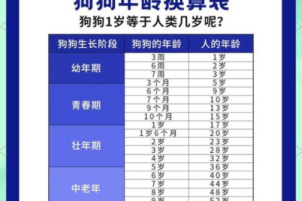 属狗年份表及年龄对照详细解析与查询指南