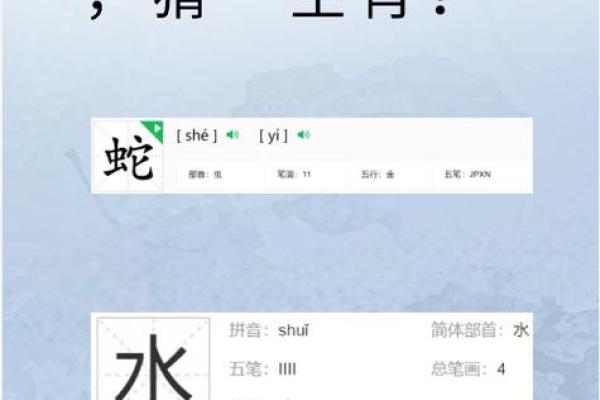 文质彬彬猜一生肖