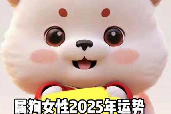 70年属狗2025年运势及运程每月运程 属狗82年的2025年运势完整版
