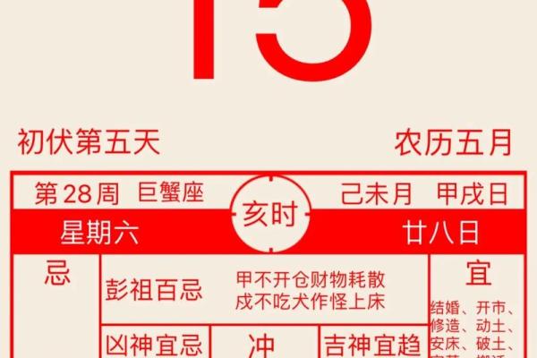 免费八字五行查询_免费八字五行查询精准解析你的命理运势