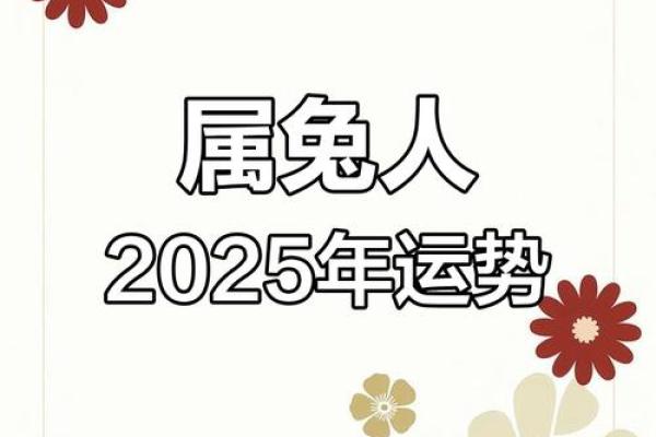 1999属兔25岁后运势解析未来运程如何