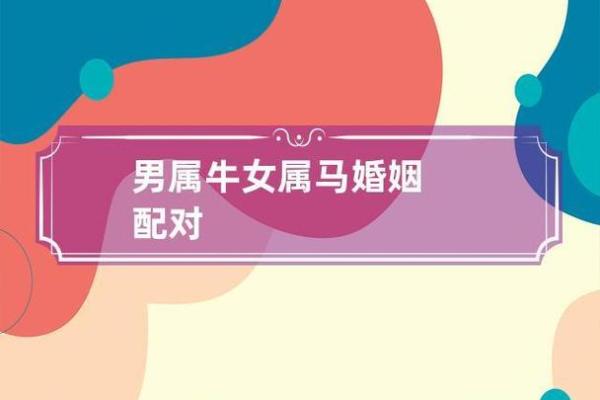 1997属牛和2002属马结婚结局_97男马02女马婚配最好