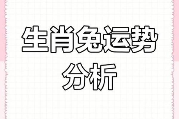 1987年男兔2025年运势详解事业财运爱情全解析